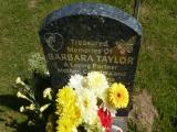 image number Taylor Barbara  514
